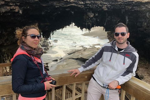 NEW TOUR - Flinders Chase Tour (Recovering From Fires) - Hotel NSW 1