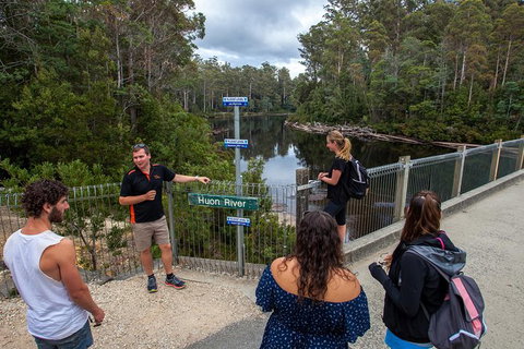 Tahune Airwalk Active Day Trip From Hobart Including Hastings Caves - Hotel NSW 3