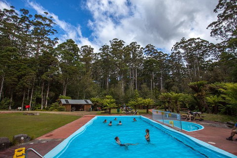 Tahune Airwalk Active Day Trip From Hobart Including Hastings Caves - Hotel NSW 2
