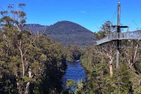 Tahune Airwalk Active Day Trip From Hobart Including Hastings Caves - Hotel NSW 6