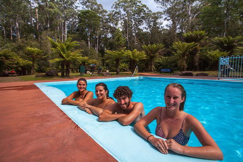 Tahune Airwalk Active Day Trip From Hobart Including Hastings Caves - Hotel NSW 4