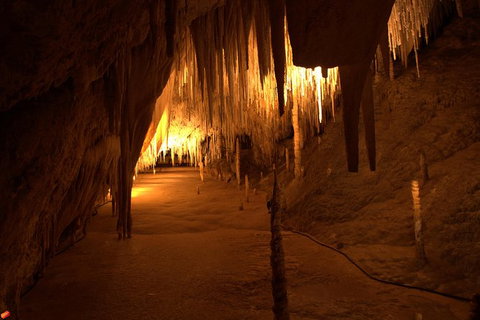Tahune Airwalk Active Day Trip From Hobart Including Hastings Caves - Hotel NSW 8