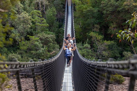 Tahune Airwalk Active Day Trip From Hobart Including Hastings Caves - Hotel NSW 0