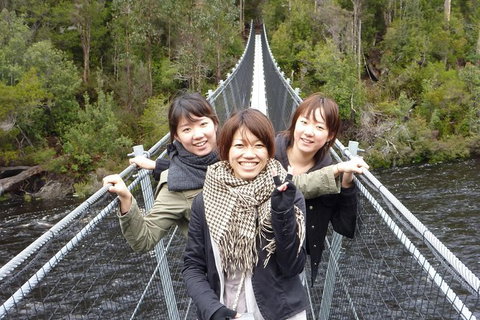 Tahune Airwalk Active Day Trip From Hobart Including Hastings Caves - Hotel NSW 7