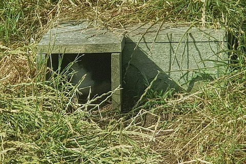 Phillip Island Penguin And Wildlife Tour - Hotel NSW 11