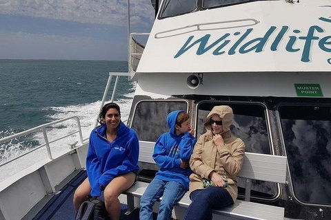 Phillip Island Penguin And Wildlife Tour - Hotel NSW 15