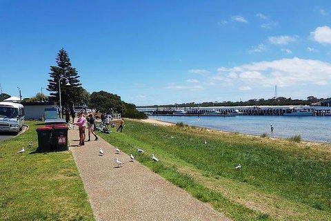 Phillip Island Penguin And Wildlife Tour - Hotel NSW 25