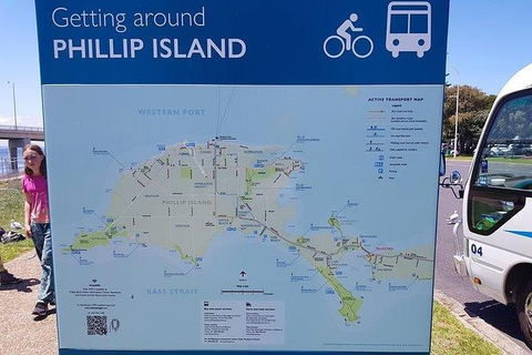 Phillip Island Penguin And Wildlife Tour - Hotel NSW 28