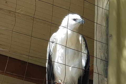 Phillip Island Penguin And Wildlife Tour - Hotel NSW 21