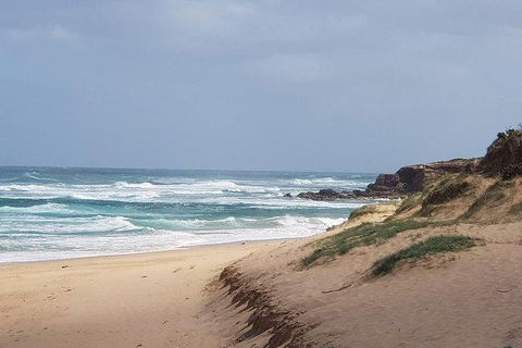 Phillip Island Penguin And Wildlife Tour - Hotel NSW 10