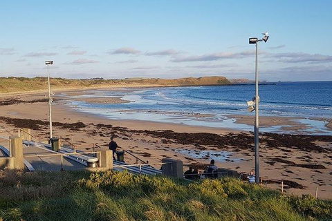 Phillip Island Penguin And Wildlife Tour - Hotel NSW 8