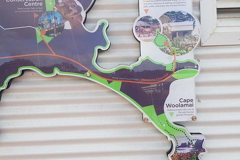 Phillip Island Penguin And Wildlife Tour - Hotel NSW 29