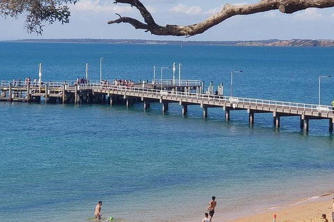 Phillip Island Penguin And Wildlife Tour - Hotel NSW 2