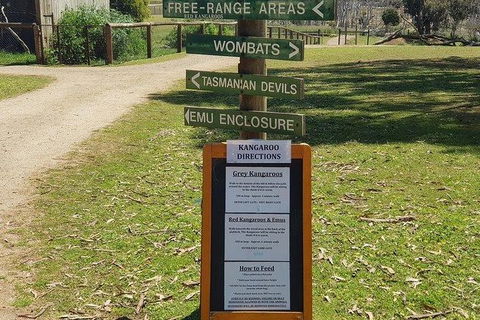 Phillip Island Penguin And Wildlife Tour - Hotel NSW 4