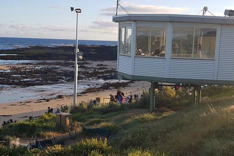 Phillip Island Penguin And Wildlife Tour - Hotel NSW 33