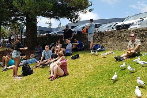 Phillip Island Penguin And Wildlife Tour - Hotel NSW 22