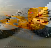 Prehistoric Bubbles and Nibbles Hovercraft Tour - Hotel NSW