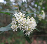 Booderee National Park - Hotel NSW
