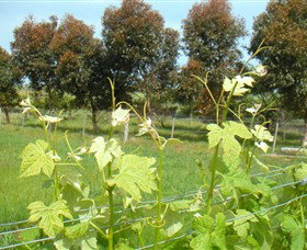 Pomborneit East VIC Hotel NSW