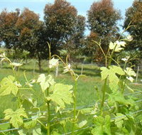 Barwon Ridge Wines - Hotel NSW