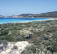 Mississippi Hill and Rossiter Bay - Hotel NSW