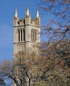 St Patrick's Church - Hotel NSW 0