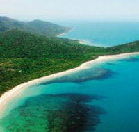 Jungle Tours and Trekking - Hotel NSW