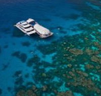 Great Adventures Reef and Green Island Cruises - Hotel NSW