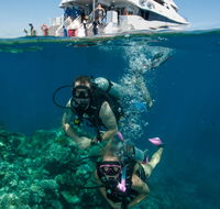 Down Under Cruise and Dive - Hotel NSW
