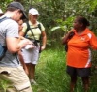 Ingan Tours - Spirit of the Rainforest Tour - Hotel NSW
