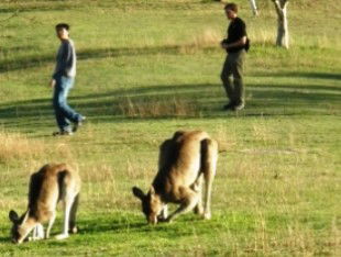 Southern Queensland Country QLD Hotel NSW