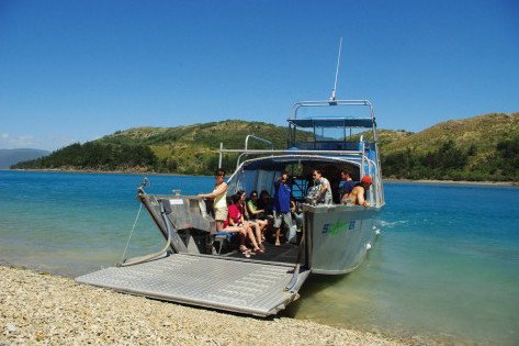 Scamper - Whitsunday Island Camping Connection - Hotel NSW 0