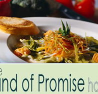 Land of Promise Hotel - Hotel NSW