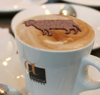 Brown Cow - Hotel NSW