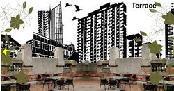 The Order - Hotel NSW 1