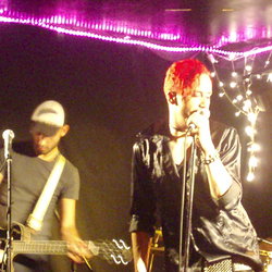 The Brass Monkey - Hotel NSW 1
