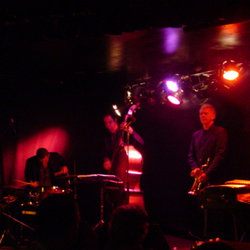 The Brass Monkey - Hotel NSW 2