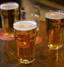 Rushy Lagoon TAS Hotel NSW