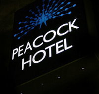 Peacock Inn Hotel - Hotel NSW