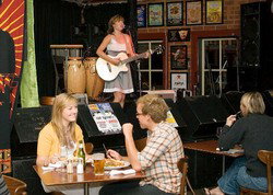 Settlers Tavern - Hotel NSW 3