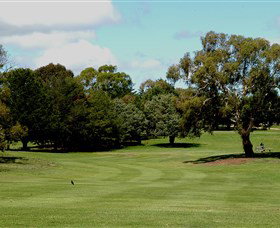 Cooma Golf Club - Hotel NSW 1