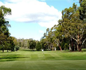 Cooma Golf Club - Hotel NSW 0