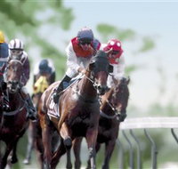 Colac Turf Club
