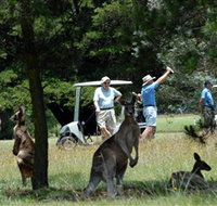 Glen Innes Golf Club - Hotel NSW