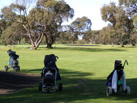 Minlaton Golf Club - Hotel NSW 3