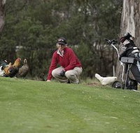 Tasmania Golf Club - The