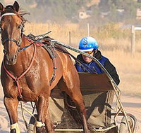 Ballarat  District Trotting Club - Hotel NSW