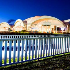 Surfers Paradise QLD Hotel NSW