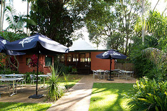Maleny Hotel - Hotel NSW 2