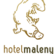 Maleny Hotel - Hotel NSW